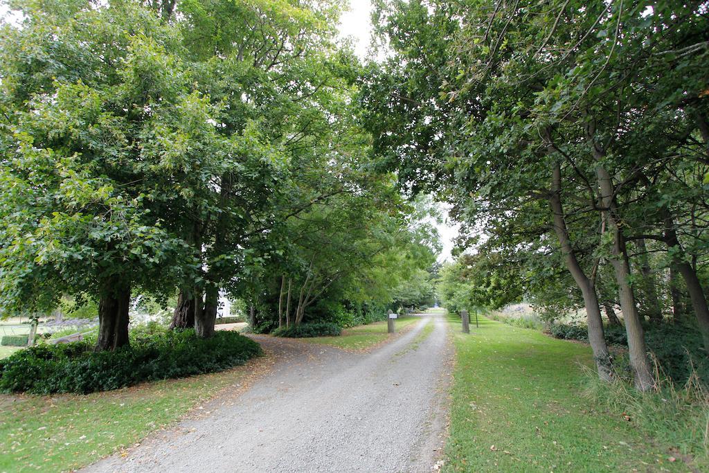 Revive On Oakview Boutique Beauty And Accommodation Ashburton Eksteriør billede