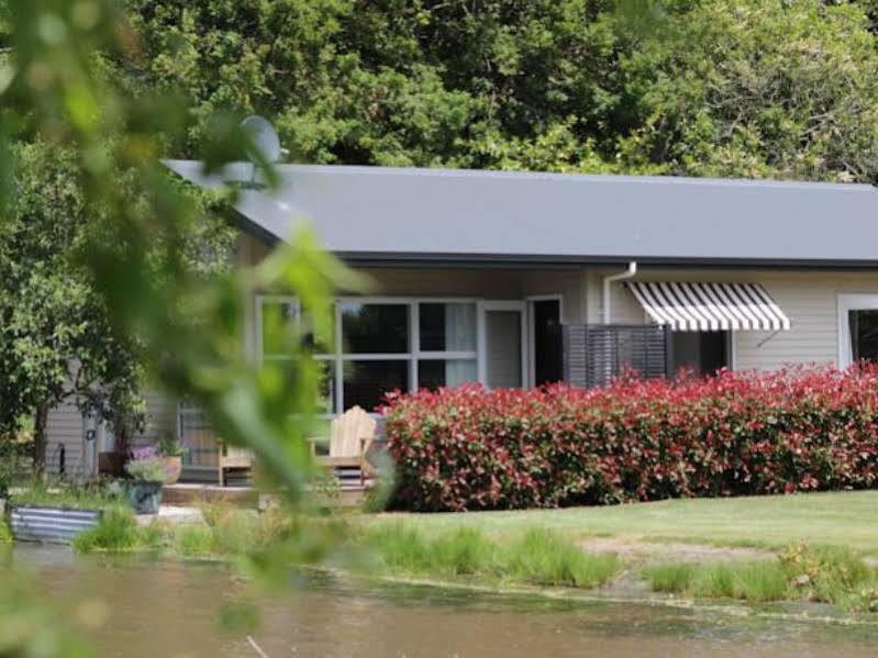 Revive On Oakview Boutique Beauty And Accommodation Ashburton Eksteriør billede